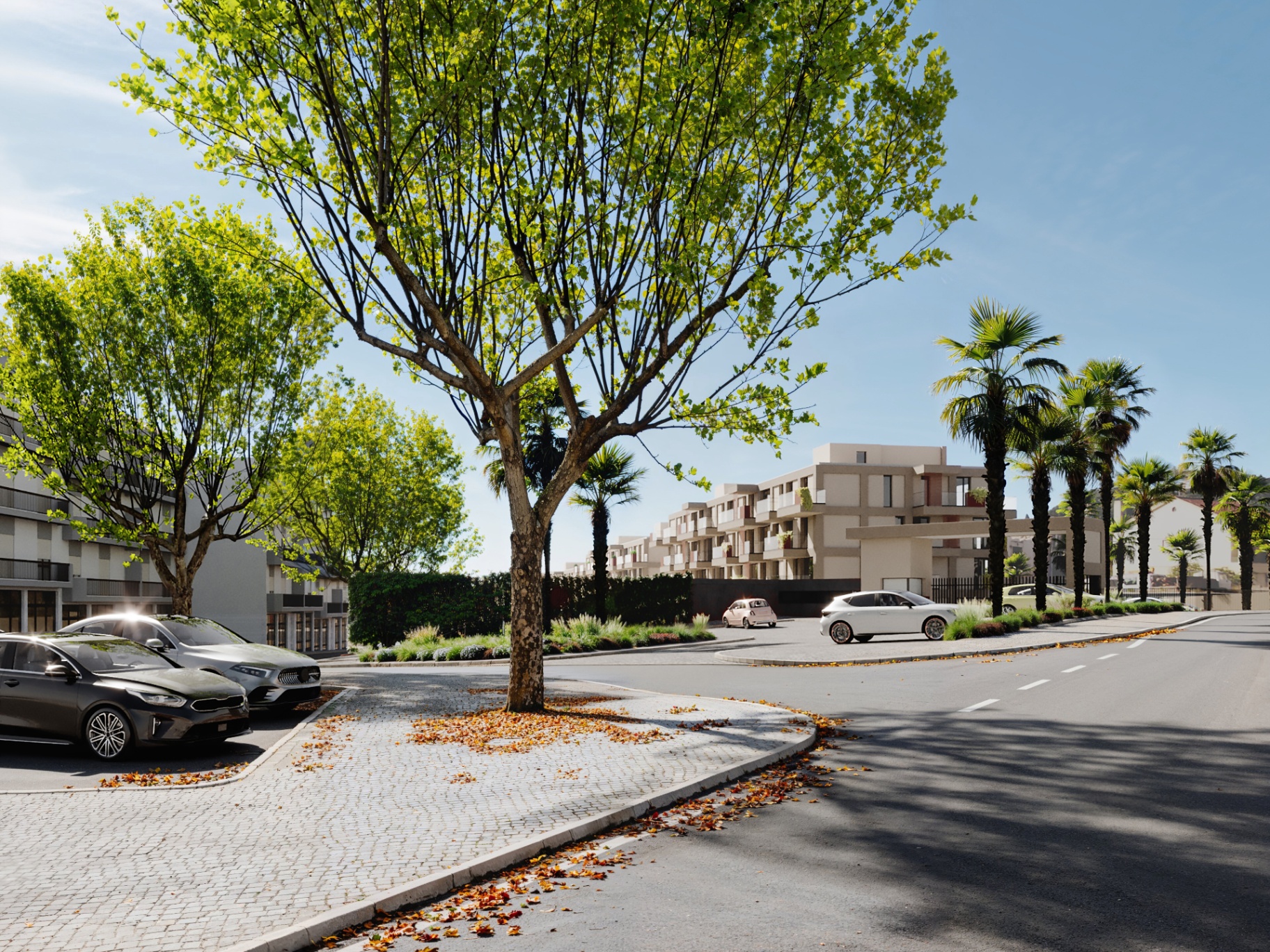 Auren Sud 5