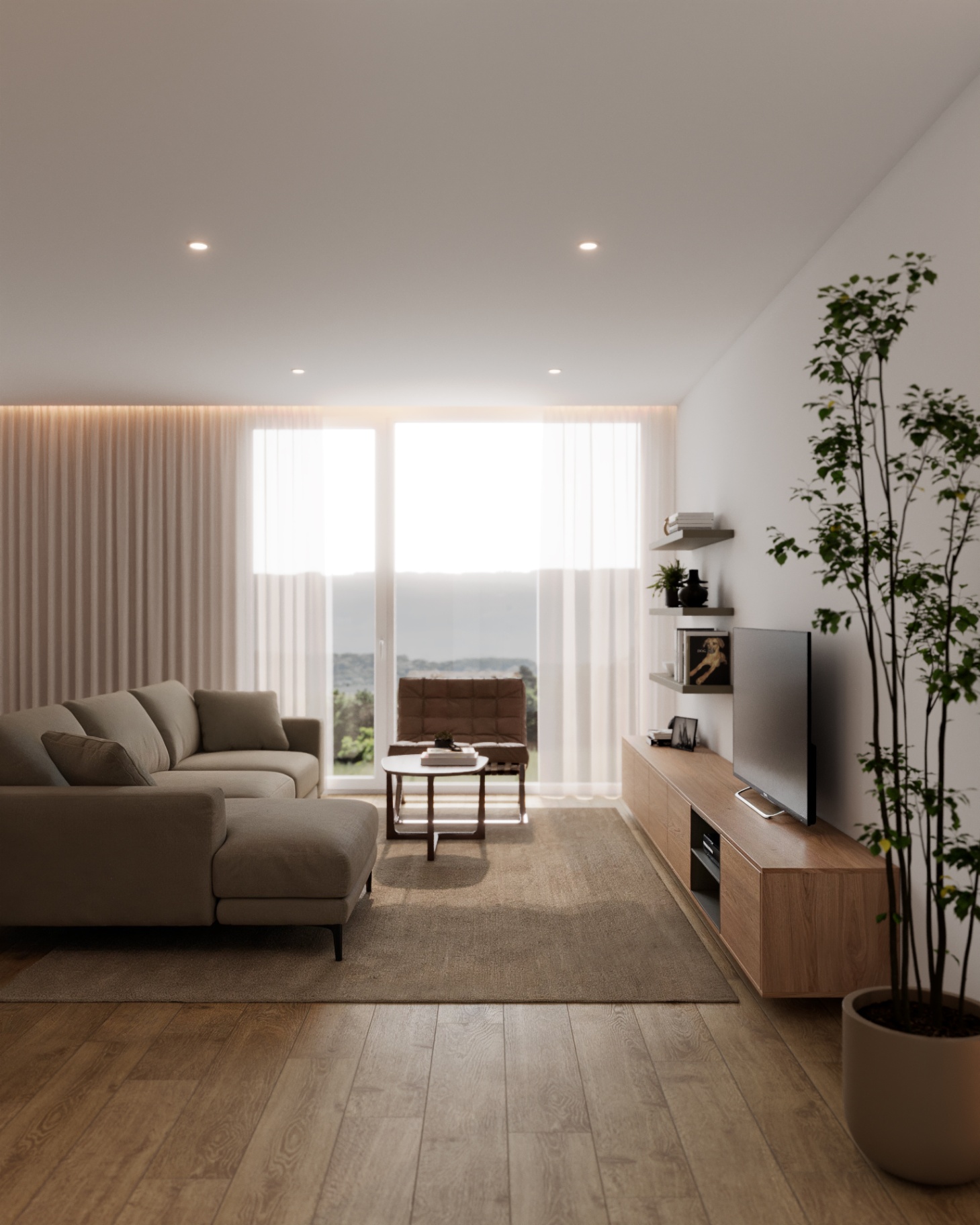 Auren Sud 8